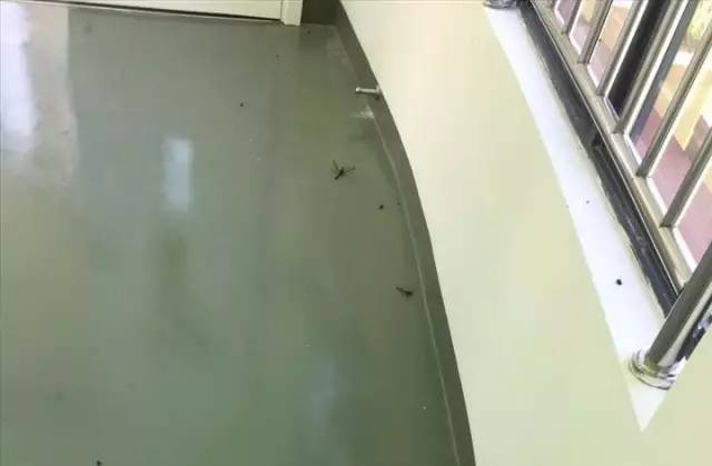 死尸遍地！寧波一幼兒園裝修后現(xiàn)場(chǎng)觸目驚心！