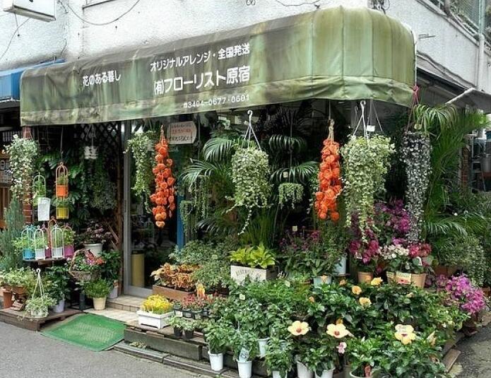 90后美女在閣樓開店鋪！房間太破，奇思妙想用各種植物來掩蓋